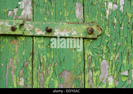 Peeling peinture verte sur les planches de bois et d'une charnière Banque D'Images