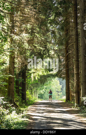 Un trekking à travers la Šumava, zone de protection nationale, la République tchèque Banque D'Images