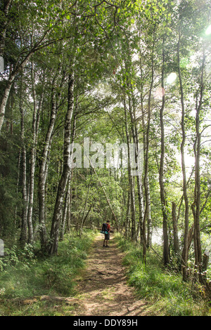 Un trekking à travers la Šumava, zone de protection nationale, la République tchèque Banque D'Images