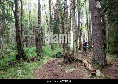 Un trekking à travers la Šumava, zone de protection nationale, la République tchèque Banque D'Images