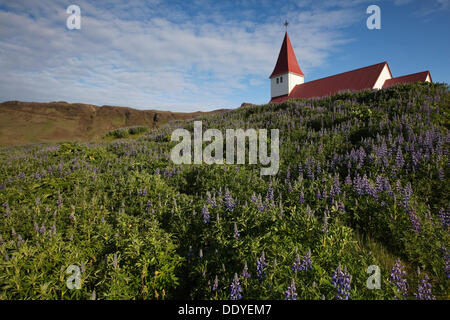 Église, vik i myrdal, sud de l'islande, Islande, Europe Banque D'Images