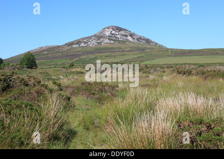 Le sud de l'épaule (White Hill) de Djouce Mountain dans les montagnes de Wicklow, dans le comté de Wicklow, Irlande Banque D'Images