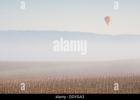 Ballon à air chaud au lever du soleil sur la vallée de Yarra en hiver Banque D'Images