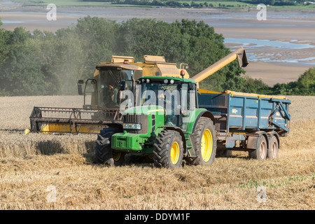 Le grain est versé dans la moissonneuse-batteuse par remorque après la récolte à la fin de l'été dans la zone Gloucestershire England UK Banque D'Images