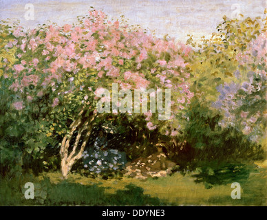 'Lilac au Soleil', 1872-1873. Artiste : Claude Monet Banque D'Images