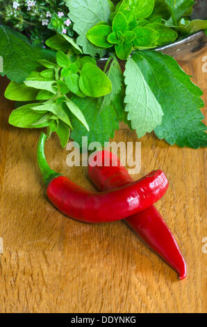 Le piment (Capsicum frutescens), le thym commun (Thymus vulgaris), fréquent de l'origan ou marjolaine sauvage (Origanum vulgare) et de Citron Banque D'Images