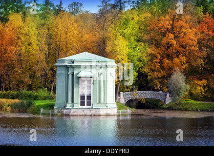 Russie,Gatchina, arbre d'automne lumineux dans un parc près de palace Banque D'Images