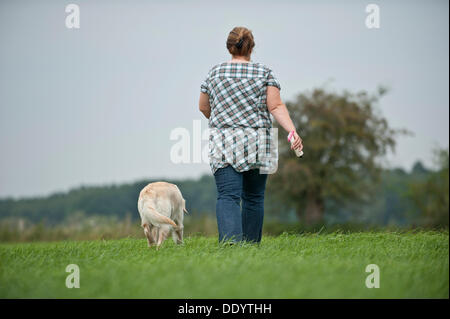 Femme marche avec un Golden Retriever à travers un champ, vue arrière Banque D'Images