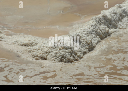 Les marais salants les fossés pour une qualité du sel de mer situé sur la côte Atlantique à l'intérieur de la Ria Formosa 'protégé' et "Sapal de Castro Marim' réserves naturelles près de la ville de Tavira Algarve dans la région la plus méridionale du Portugal Banque D'Images