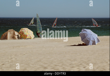 Les véliplanchistes à Sagres Martinhal beach dans le sud de l'Algarve Portugal Banque D'Images