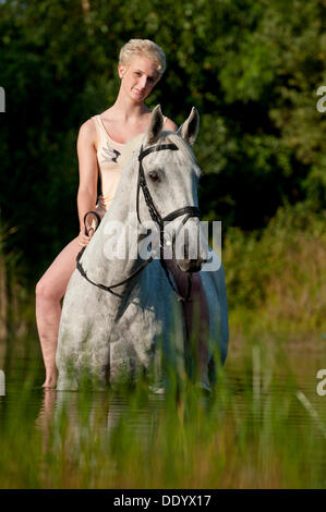 Portrait d'une jeune femme sur un cheval de Hanovre dans l'eau Banque D'Images