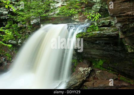 B REYNOLDS CUISINE CASCADE CREEK RICKETTS GLEN STATE PARK LUZERNE COMTÉ PENNSYLVANIA USA Banque D'Images