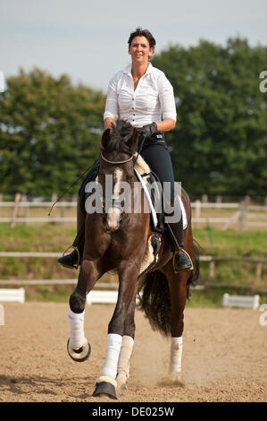 Woman riding a horse Hanovre Banque D'Images