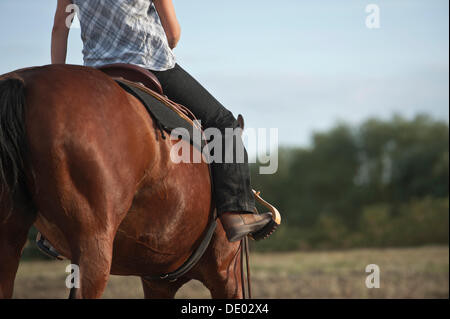 Femme sur un Quarter Horse, Western-style équitation Banque D'Images
