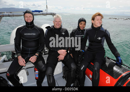 Simonstown, Afrique du Sud. Sep 9, 2013. Theo Prinsloo (ITB Scuba), Alan Winde MEC des finances, du développement économique et du Tourisme de l'ouest du cap, Nadia Salie (dans le bleu) et Judy Lain (Directeur Marketing chez Wesgro) s'est rendu pour la plongée requins vache dans la baie de False. Septembre est le Mois du tourisme, une campagne annuelle conduite par le Département national du tourisme en partenariat avec les gouvernements provinciaux du Tourisme, et la ville du Cap et le Cap occidental thème est 'l'eau nous connecte'. Banque D'Images