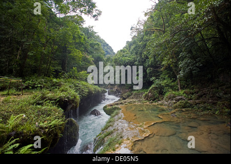 Semuc Champey, dans la région de Alta Verapaz, Guatemala est constitué d'un pont de pierre calcaire naturelle et piscine naturelle. Banque D'Images