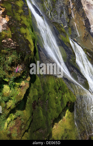 Powerscourt Waterfall dans le comté de Wicklow, Irlande Banque D'Images