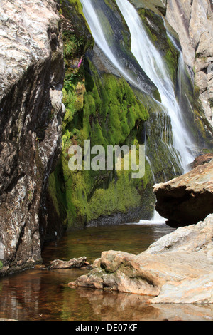 Powerscourt Waterfall dans le comté de Wicklow, Irlande Banque D'Images