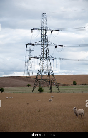 Pylônes électriques dans la campagne de l'Oxfordshire Banque D'Images