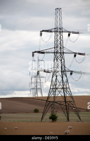 Pylônes électriques dans la campagne de l'Oxfordshire Banque D'Images