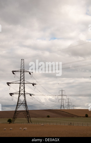 Pylônes électriques dans la campagne de l'Oxfordshire Banque D'Images