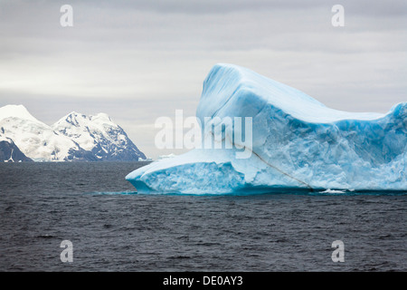 Blue iceberg au large de l'Île Laurie, Washington, Détroit Sud Orcades, océan du Sud, l'Antarctique Banque D'Images