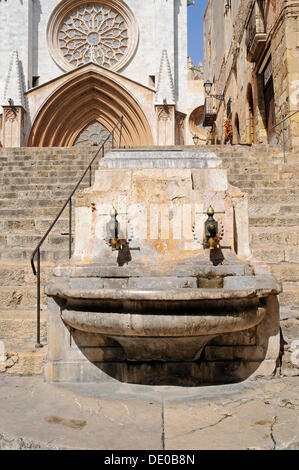 Fontaine et escaliers en face de la cathédrale de Tarragone, Tarragone, Catalogne, Espagne, Europe, PublicGround Banque D'Images