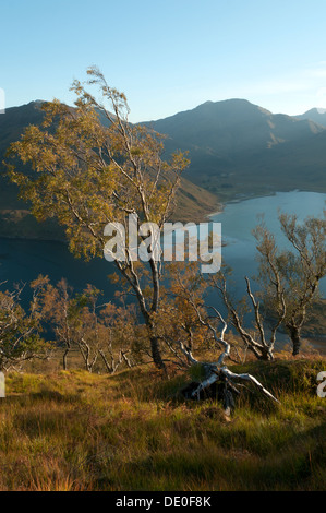 Luinne Bheinn et Glen Barrisdale, Knoydart, sur le Loch Hourn, de Druim Fada, région des Highlands, Ecosse, Royaume-Uni Banque D'Images