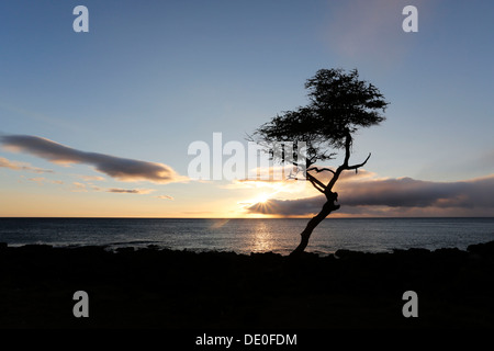 Le coucher du soleil, le parc de la plage Mahukona, Kohala Coast, Big Island, Hawaii, USA Banque D'Images