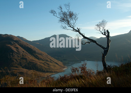 Luinne Bheinn et Glen Barrisdale, Knoydart, sur le Loch Hourn, de Druim Fada, région des Highlands, Ecosse, Royaume-Uni Banque D'Images