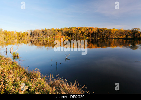 L'automne dans le Minnesota, USA Banque D'Images