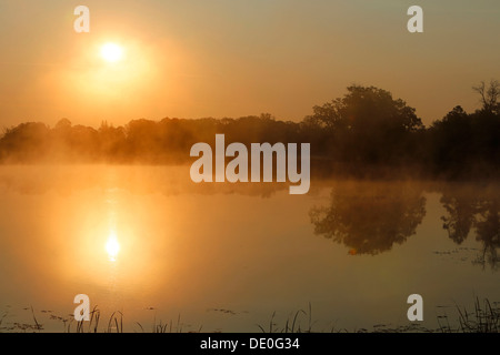 Lever du soleil, l'automne brouillard sur le lac Big Rock près de Detroit Lakes, Minnesota, USA Banque D'Images