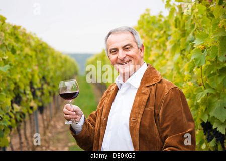 Vigneron ou négociant debout avec un verre de vin rouge dans sa vigne, Rhénanie-Palatinat Banque D'Images