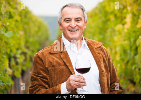 Vigneron ou négociant debout avec un verre de vin rouge dans sa vigne, Rhénanie-Palatinat Banque D'Images