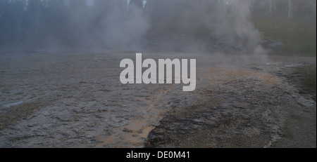 Tôt le matin d'eau orange voir l'augmentation de la vapeur d'ouest, Grand et Geysers Turban, Upper Geyser Basin, Yellowstone, États-Unis Banque D'Images