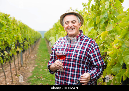 Vigneron ou négociant debout avec un verre de vin rouge dans sa vigne, Rhénanie-Palatinat Banque D'Images