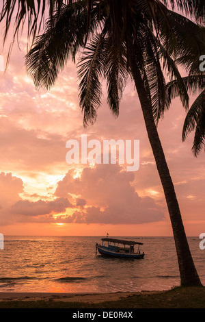 Coucher du soleil sur la plage Banque D'Images