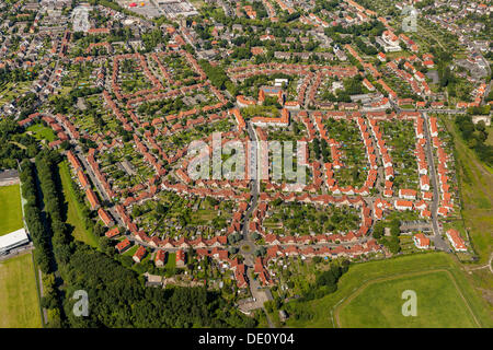 Vue aérienne, Eckelshof immobiliers résidentiels pour les travailleurs de l'industrie, maisons de mineur, Ahlen, Ruhr, Rhénanie du Nord-Westphalie Banque D'Images