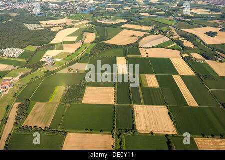 Vue aérienne, champs, Datteln, Ruhr, Rhénanie du Nord-Westphalie Banque D'Images