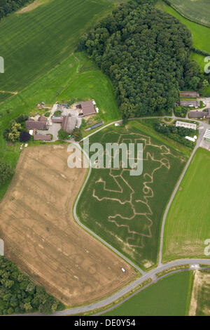 Vue aérienne, labyrinthe dans un champ de maïs, Salm-Cappenberg, Ruhr, Rhénanie du Nord-Westphalie Banque D'Images