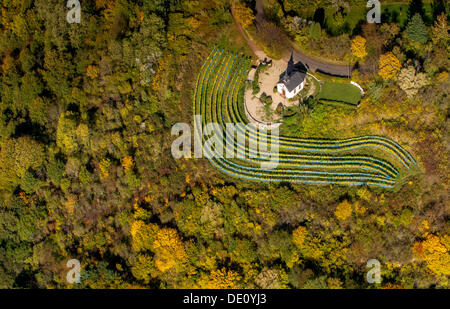 Vue aérienne, petite chapelle sur Ellerweg lane entouré de vignes, automne, Merzig, Sarre Banque D'Images