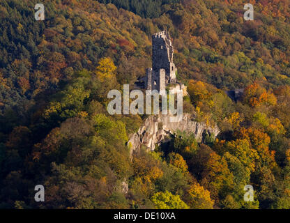 Vue aérienne, château château Drachenburg, Drachenfels, rocher du dragon, automne Banque D'Images