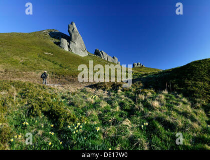 Randonneur dans le Massif du Sancy, Parc Naturel Régional des Volcans d'Auvergne, Parc Naturel Régional des Volcans d'Auvergne Banque D'Images