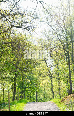 Route de gravier qui traverse le parc Djurgarden à Stockholm, Suède Banque D'Images