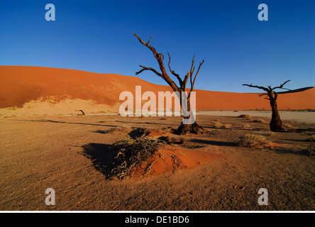 Géographie / voyage, Namibie, le Parc National Namib Naukluft, le pan d'argile dans l'Additional-Rights Clearance-Info-Vlei,-Not-Available Banque D'Images