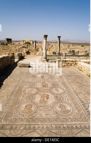 Géographie / voyages, Maroc, Volubilis, ruines de l'ancienne ville romaine de Volubilis, site, forum, construction : 193-211 annonce sous l'empereur Septime Sévère, Additional-Rights Clearance-Info-Not-Available- Banque D'Images