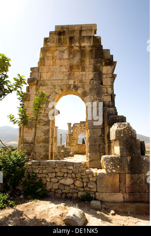 Géographie / voyages, Maroc, Volubilis, ruines de l'ancienne ville romaine de Volubilis, site, forum, construction : 193-211 annonce sous l'empereur Septime Sévère, Additional-Rights Clearance-Info-Not-Available- Banque D'Images