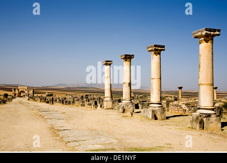 Géographie / voyages, Maroc, Volubilis, ruines de l'ancienne ville romaine de Volubilis, site, forum, construction : 193-211 annonce sous l'empereur Septime Sévère, Additional-Rights Clearance-Info-Not-Available- Banque D'Images