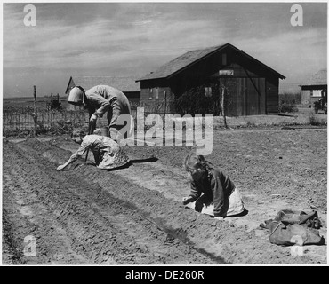 Dans le comté de Haskell, au Kansas, une femme et deux petites filles travaillent ensemble dans un jardin, reflétant la vie familiale rurale et l'agriculture dans la région. Banque D'Images