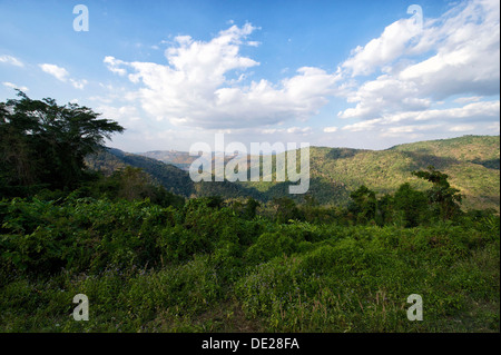 Paysage de la jungle, la forêt vierge, le parc national de Khao Yai, Prachinburi, Nakhon Ratchasima, Thaïlande Banque D'Images